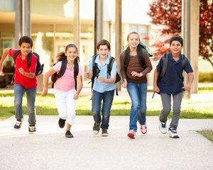 240_F_42197747_lSw6Ha3bmek2u7PEDGL9M7UFWLIDjCwK